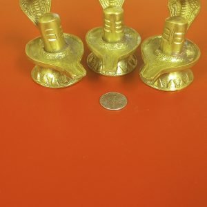 Shiva Linga and Coin Combo